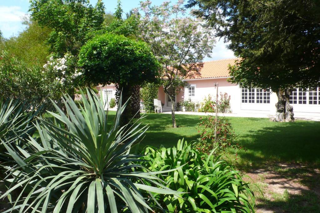 Gasthaus Casa Da Avo Genoveva Tomar Exterior foto